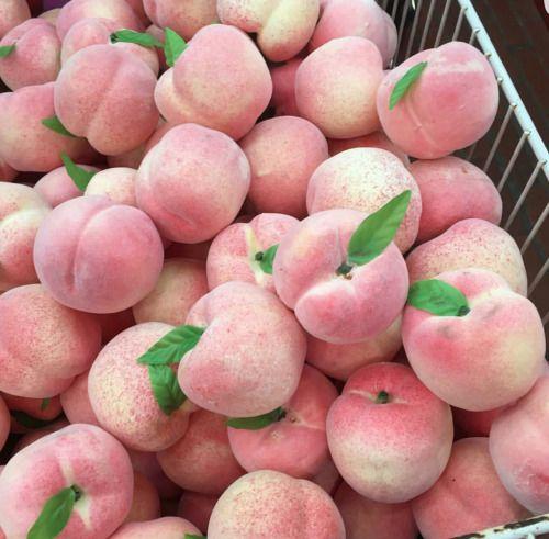 Rural Orchard's Bounty Freshness Assortment